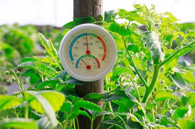 Serada sıcaklık ve nem