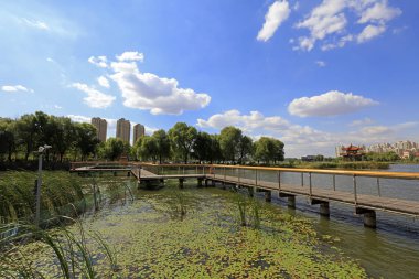 Liman Parkı Mimari Sahnesi, Çin