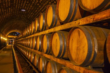 Şarap mahzenlerinde meşe fıçıları, Changli County, Hebei Eyaleti, Çin