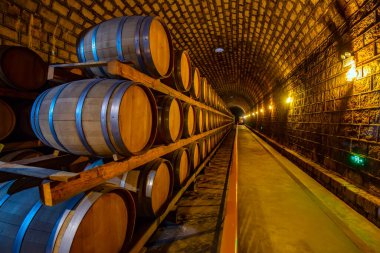 Şarap mahzenlerinde meşe fıçıları, Changli County, Hebei Eyaleti, Çin