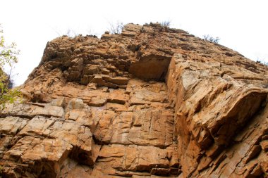 Kayalardaki doku, fotoğrafa yakın çekim.