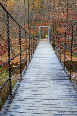 Parktaki ahşap asma köprü, fotoğrafa yakın çekim.