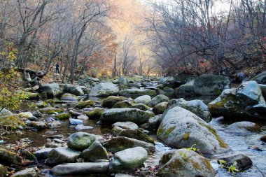 Jeolojik bir parkta kaya ve dere, fotoğrafa yakın çekim.