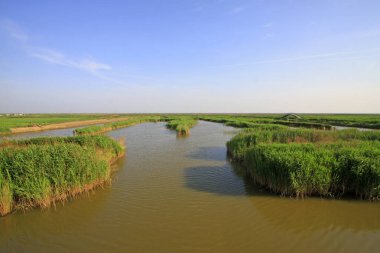 Hebei kaofeidyan golf sahası
