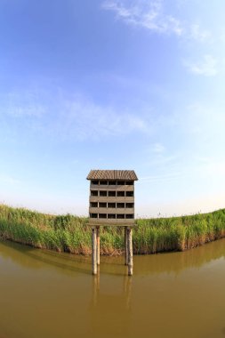 Wetland Park 'ta yapay kuş yuvası