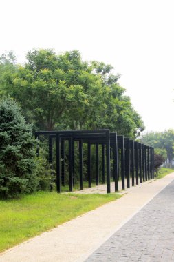 Park Binası Manzarası, Çin