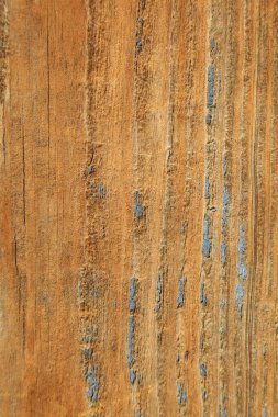 ahşap doku, closeup fotoğraf