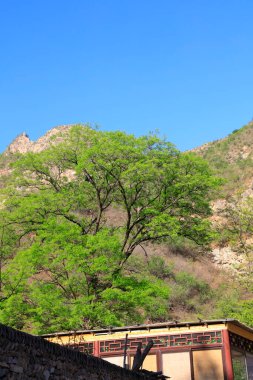 Cuandixia Köyü Manzarası, Pekin, Chin