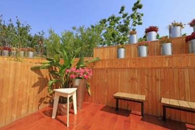 Ahşap zemin, duvarlar ve saksı