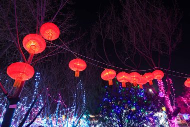 Kırmızı fenerler karanlığın dallarında asılı.