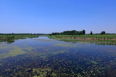 Göllerin doğal manzarası