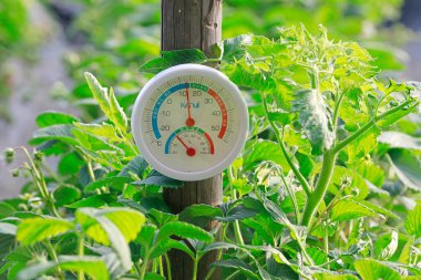 Serada sıcaklık ve nem