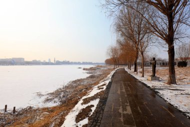 Park yolu, fotoğrafa yakın çekim