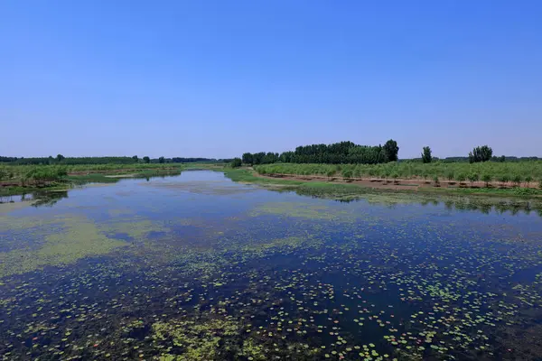 Göllerin doğal manzarası