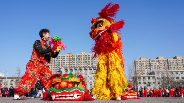 Luannan County, Çin - 13 Şubat 2025: İnsanlar geleneksel Çin festivalini kutlamak için meydanda aslan dansı yapıyorlar - Fener Festivali.