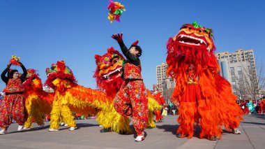 Luannan County, Çin - 13 Şubat 2025: İnsanlar geleneksel Çin festivalini kutlamak için meydanda aslan dansı yapıyorlar - Fener Festivali.