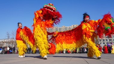 Luannan County, Çin - 13 Şubat 2025: İnsanlar geleneksel Çin festivalini kutlamak için meydanda aslan dansı yapıyorlar - Fener Festivali.