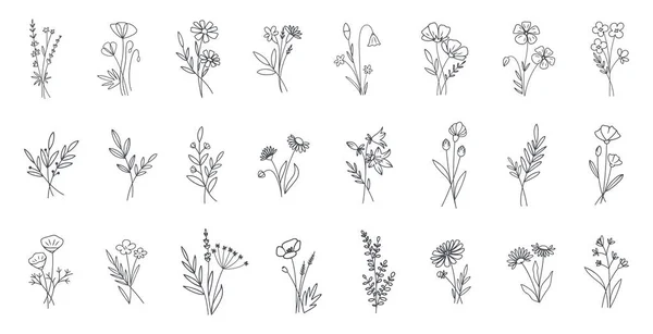 Verzameling Van Eenvoudige Handgetekende Bloemen Doodle Bladeren Takken Logo Illustratie — Stockvector