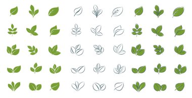 Çevre tasarımı için basit yeşil yapraklar. Vektör illüstrasyonunda düz ve çizgi biçimi