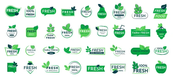 Fresh Logo Collection Food Labels Badges Emblems Vector Illustration — Stock Vector
