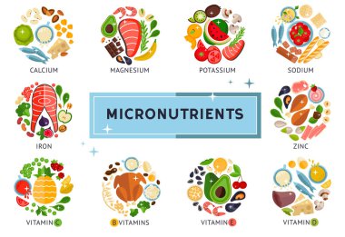 The food infographic about micronutrients, vitamins, design template in a vector illustration clipart