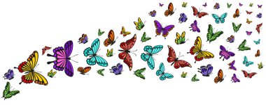 Güzel Kelebek Arkaplanı. İzole edilmiş Doğa Vektörü illüstrasyonu