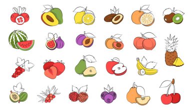 Citrus ve Egzotik Meyveler. Kabartmalı Botanik Vintage Fruit Sketches, Illustrations, Element Farming, kabartmalı skeç tarzı. Premium organik tasarım için ideal