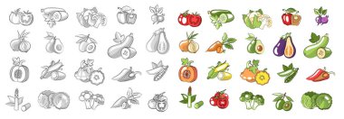 Büyük Vintage Sebze Koleksiyonu. Renkli ve Skeç Logoları ve Çiftçilik, Paketleme ve Organik Markalaşma Çizimleri