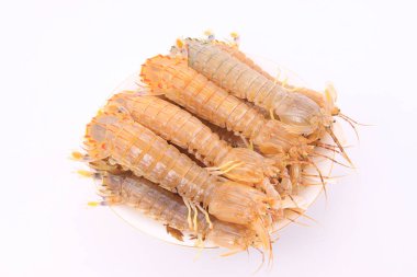 Beyaz arka planda taze peygamber devesi karidesine yakın plan.