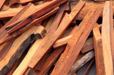 Nadir bulunan ahşap armut, fotoğrafa yakın çekim.