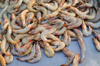 Taze karidesleri kapatın. 