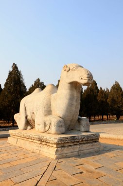 Çin antik deve heykelleri