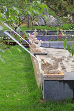 Su kaplıcalarının hayvan modellemesi