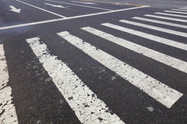 Benekli zebra hattı, fotoğrafa yakın çekim.