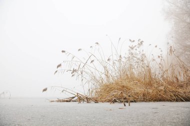 Kışın nehirden nehire