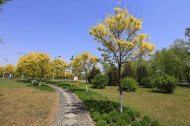 Parklardaki Taş Yollar ve Yeşillik Fabrikaları