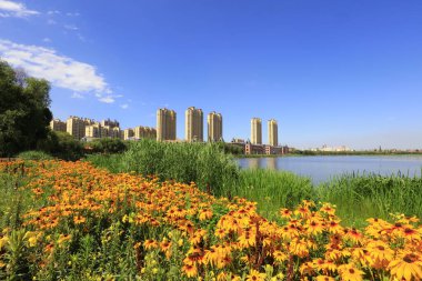 Şehir Parklarının Doğal Manzarası