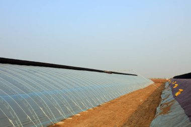 Plastik seranın dış manzarası