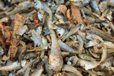 Pazarda kurutulmuş balık.