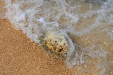 Dalgalarda, doğal ortamda kayalar