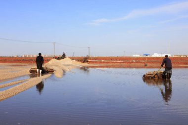 Luannan County - 28 Ekim 2016: işçiler tuz tarlasında işçilik yaptılar, Luannan, Hebei, Chin