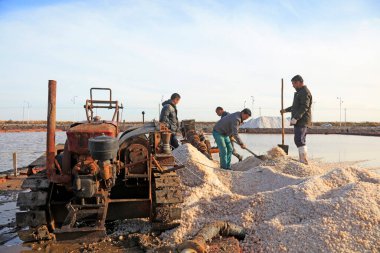 Luannan County - 28 Ekim 2016: işçiler tuz tarlasında işçilik yaptılar, Luannan, Hebei, Chin