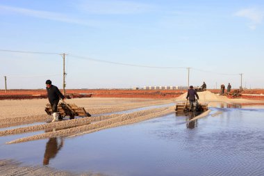 Luannan County - 28 Ekim 2016: işçiler tuz tarlasında işçilik yaptılar, Luannan, Hebei, Chin