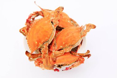 Beyaz arkaplanda pişmiş yengecin yakın plan görüntüsü