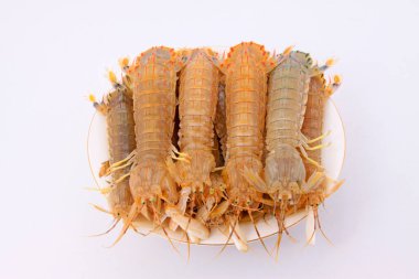 Beyaz arka planda taze peygamber devesi karidesine yakın plan.