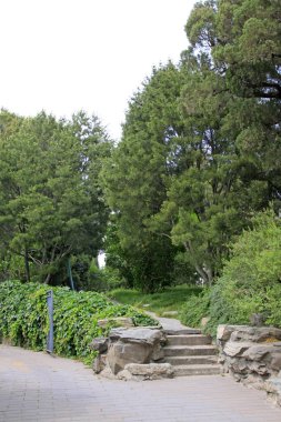 Parktaki ağaçlar ve çimenler, fotoğrafa yakın çekim.