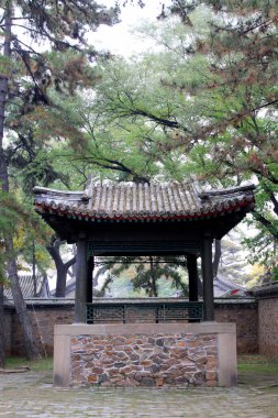 Çin geleneksel peyzaj mimarisi, fotoğrafa yakın çekim