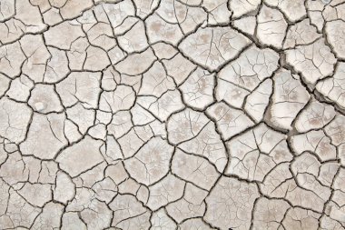 Kırık tuzlu alkali arazisi, fotoğrafa yakın çekim.