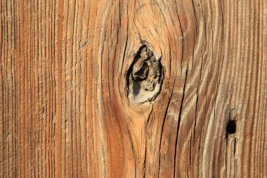 Sarsıntılı tahıl, fotoğrafa yakın çekim.