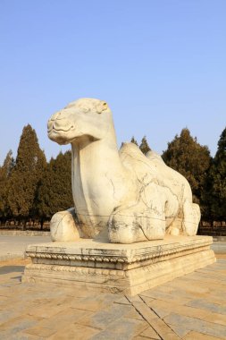 Çin antik deve heykelleri